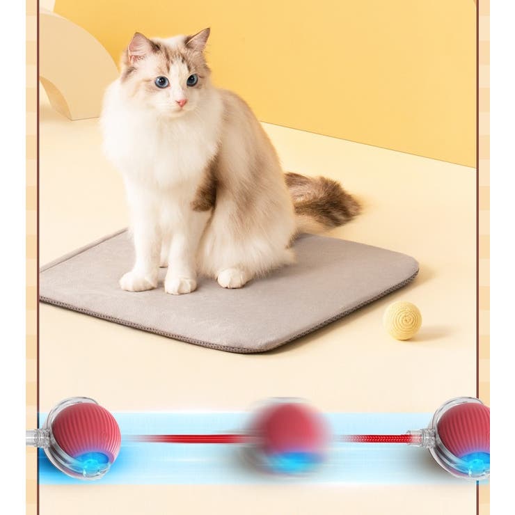 電動猫じゃらし ペット用おもちゃ 自動 | PlusNao | 詳細画像4 