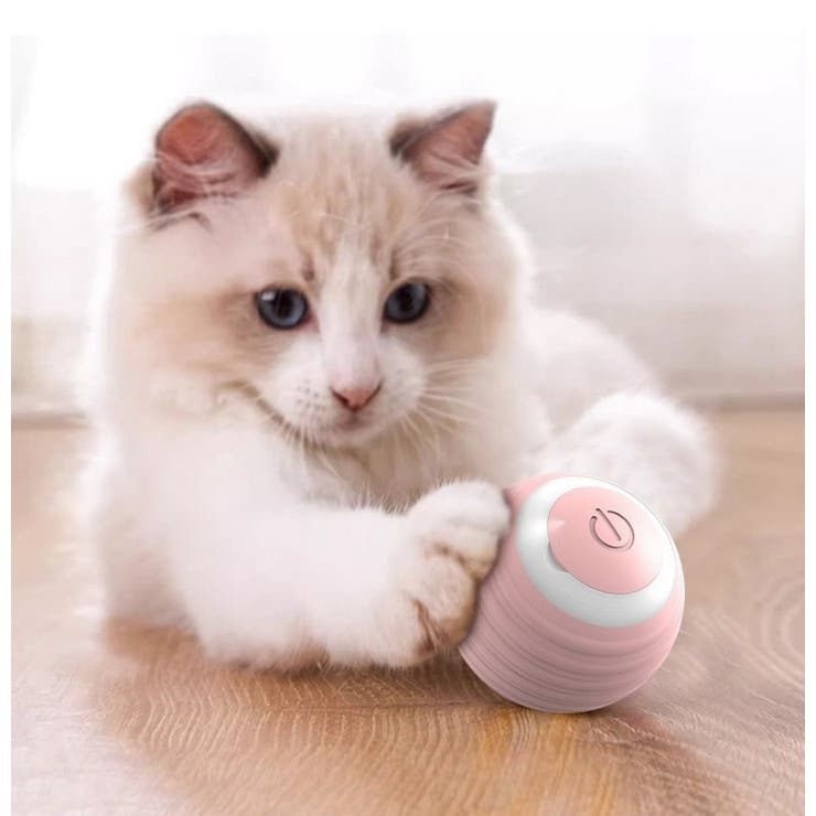 電動猫じゃらし ペット用おもちゃ 自動 | PlusNao | 詳細画像5 