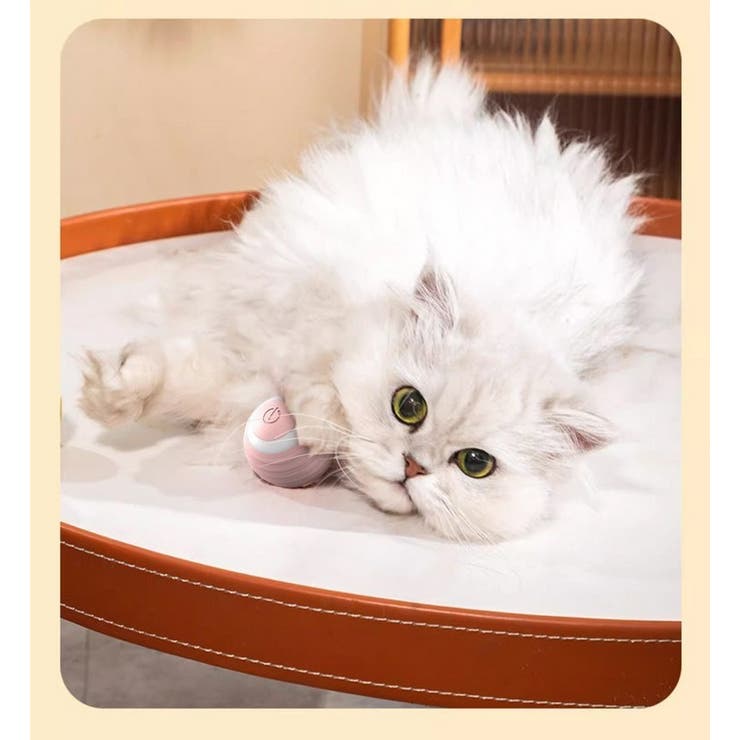 電動猫じゃらし ペット用おもちゃ 自動 | PlusNao | 詳細画像7 