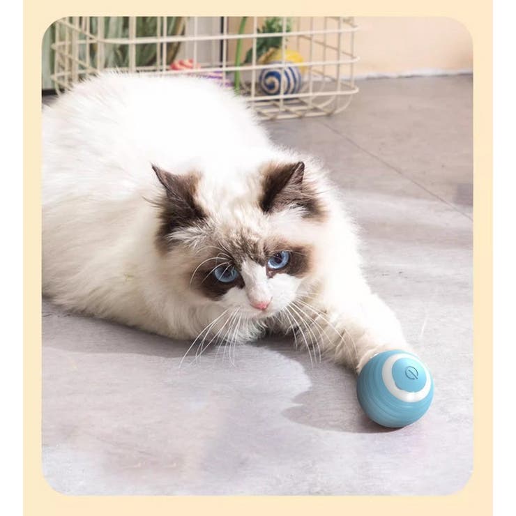 電動猫じゃらし ペット用おもちゃ 自動 | PlusNao | 詳細画像8 