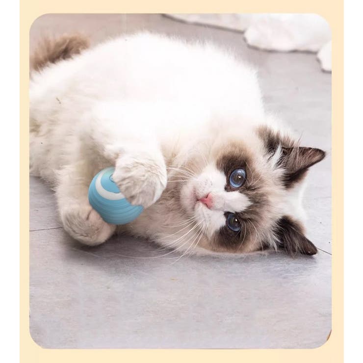電動猫じゃらし ペット用おもちゃ 自動 | PlusNao | 詳細画像9 