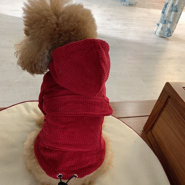 パーカー ペットウェア ペット服 | PlusNao | 詳細画像17 