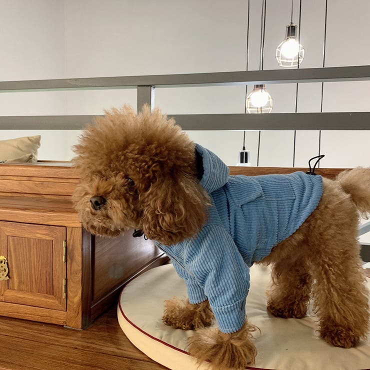 パーカー ペットウェア ペット服 | PlusNao | 詳細画像7 