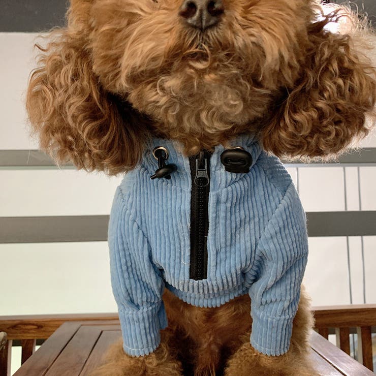 犬用パーカー ペットウェア ペット服 | PlusNao | 詳細画像9 