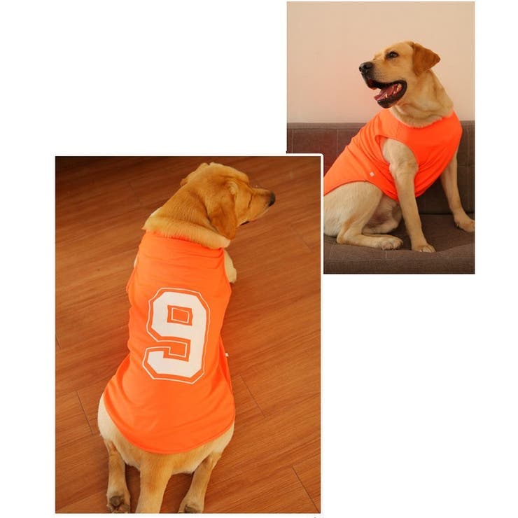 ドッグウェア ペットウェア タンクトップ | PlusNao | 詳細画像10 