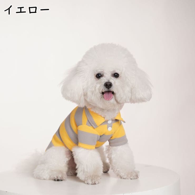 ペット用ポロシャツ イヌ用ポロシャツ ペット用トップス | PlusNao | 詳細画像13 