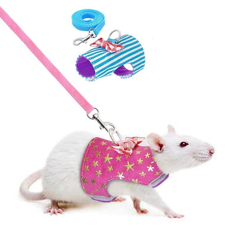 ペット用品 チェストストラップ 小動物用チェストストラップ | PlusNao | 詳細画像3 