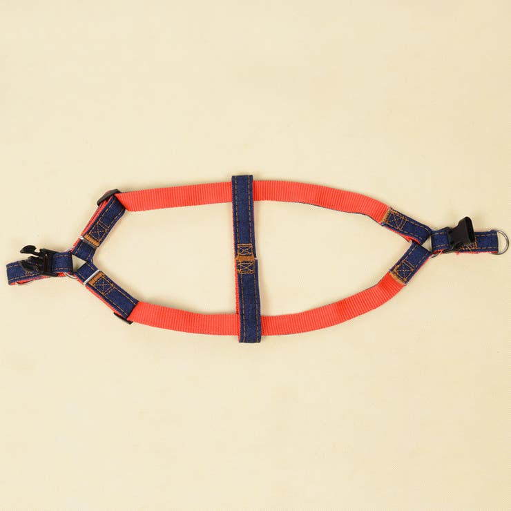 ハーネスリード 首輪 3点セット | PlusNao | 詳細画像12 