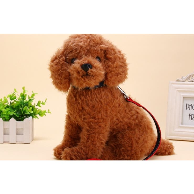 ハーネスリード 首輪 3点セット | PlusNao | 詳細画像4 