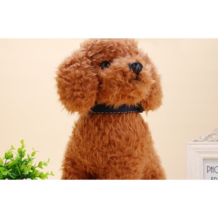 ハーネスリード 首輪 3点セット | PlusNao | 詳細画像5 