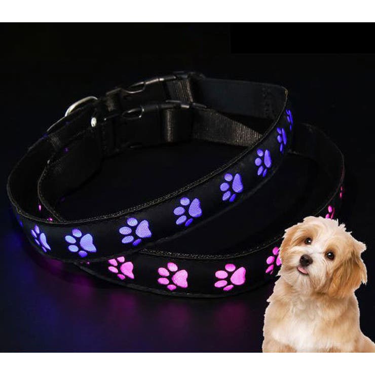 首輪 犬用 猫用 | PlusNao | 詳細画像2 