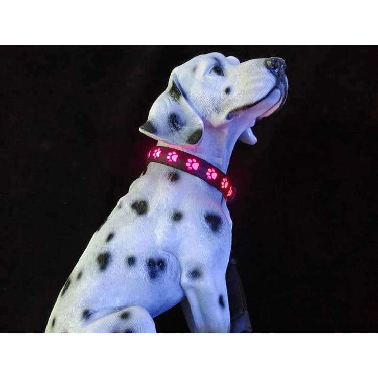 首輪 犬用 猫用 | PlusNao | 詳細画像3 