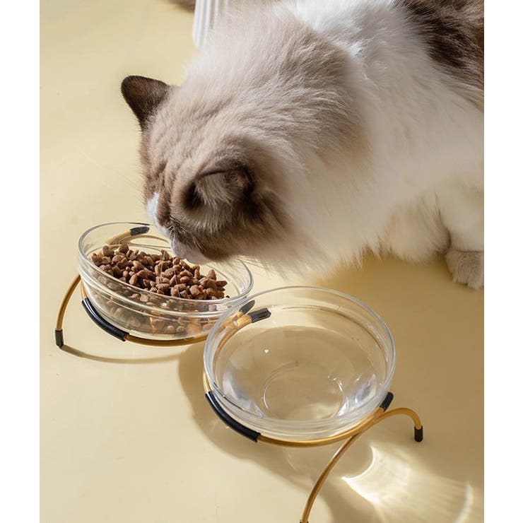 猫用食器 犬用食器 ペット用食器 | PlusNao | 詳細画像2 