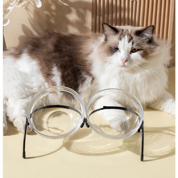猫用食器 犬用食器 ペット用食器 | PlusNao | 詳細画像3 