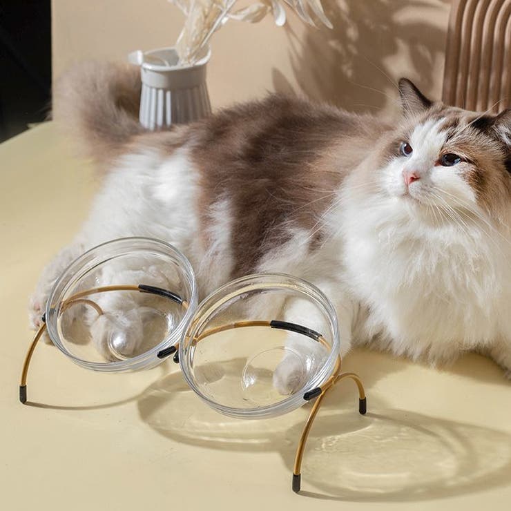 猫用食器 犬用食器 ペット用食器 | PlusNao | 詳細画像5 