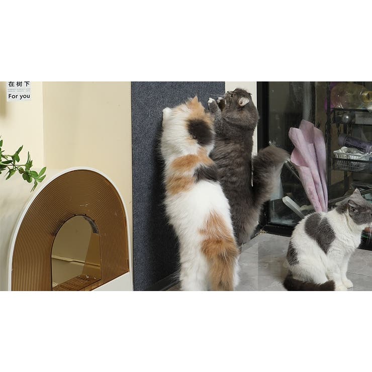 爪とぎシート カーペットタイプ 猫用 | PlusNao | 詳細画像3 
