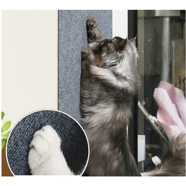 爪とぎシート カーペットタイプ 猫用 | PlusNao | 詳細画像4 