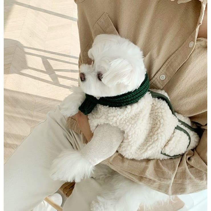 ドッグウェア ペットウエア 犬服 | PlusNao | 詳細画像2 