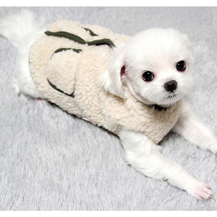 ドッグウェア ペットウエア 犬服 | PlusNao | 詳細画像3 