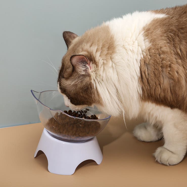 ペット用フードボウル ペット用食器 猫 | PlusNao | 詳細画像2 