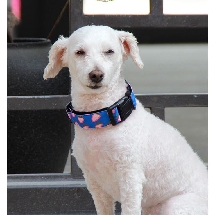 首輪 蝶ネクタイ バンダナ 品番 Fq Plusnao プラスナオ のレディースファッション通販 Shoplist ショップリスト