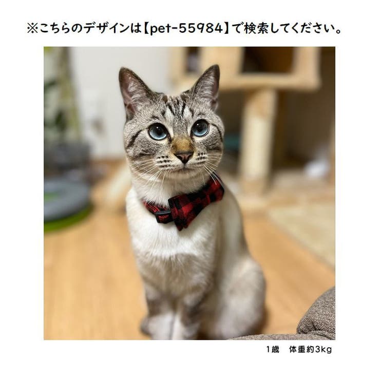 猫用首輪 ねこ ペット用品 | PlusNao | 詳細画像12 