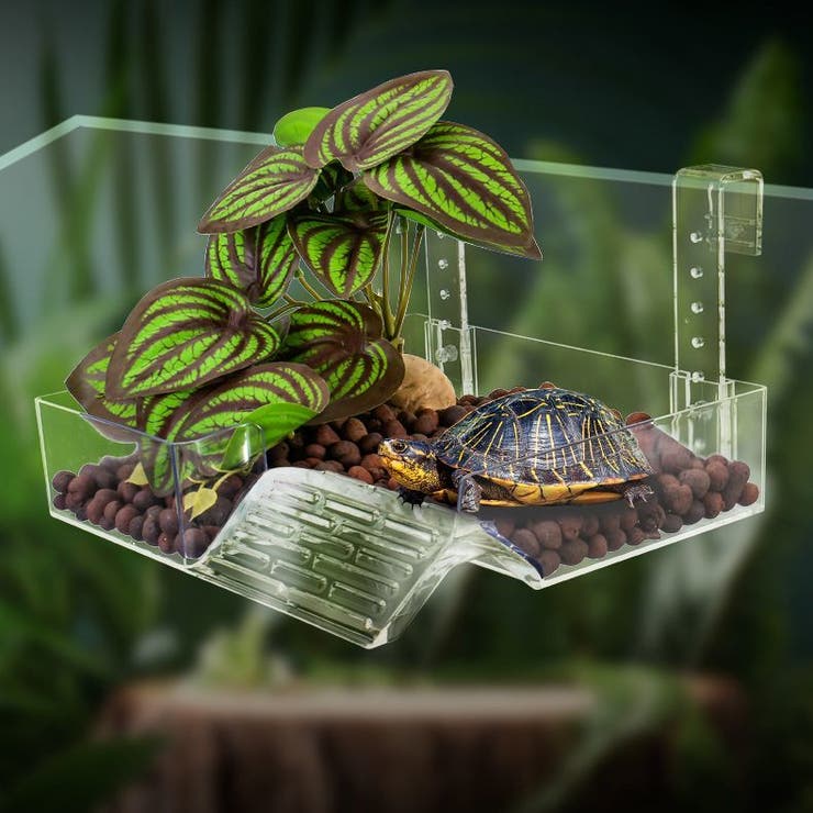 亀 浮島 飼育ケース | PlusNao | 詳細画像3 