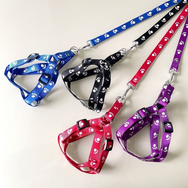 首輪リード ハーネスリード 2点セット | PlusNao | 詳細画像3 