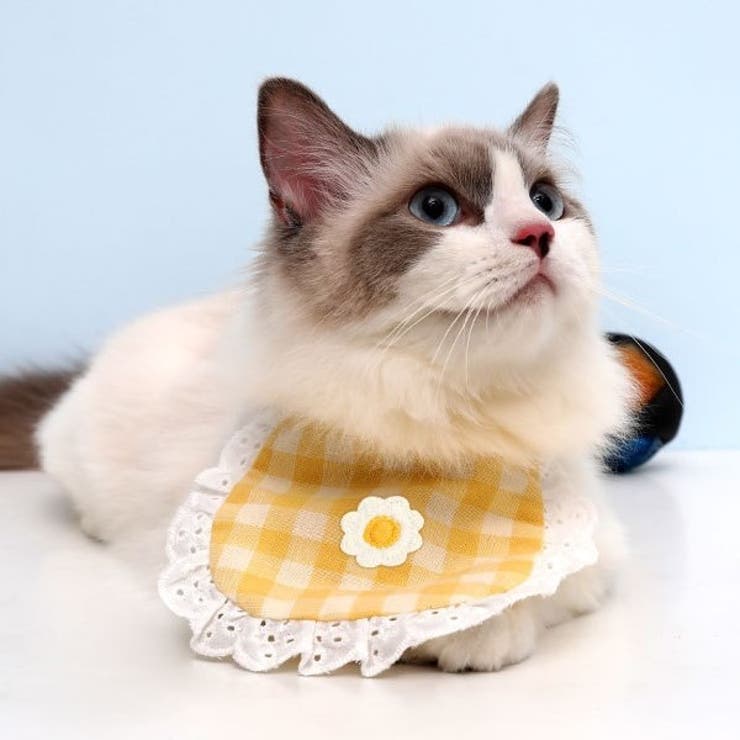 ペット用スタイ ペット用ビブ ペット用涎掛け | PlusNao | 詳細画像3 