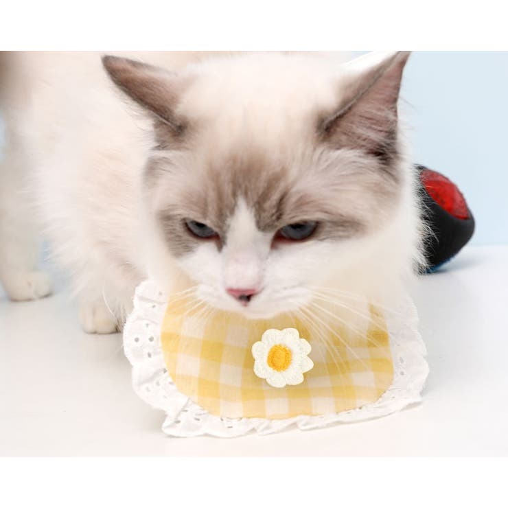 ペット用スタイ ペット用ビブ ペット用涎掛け | PlusNao | 詳細画像5 