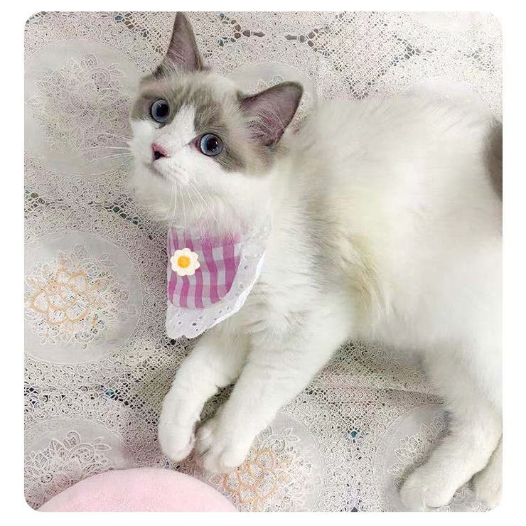 ペット用スタイ ペット用ビブ ペット用涎掛け | PlusNao | 詳細画像9 