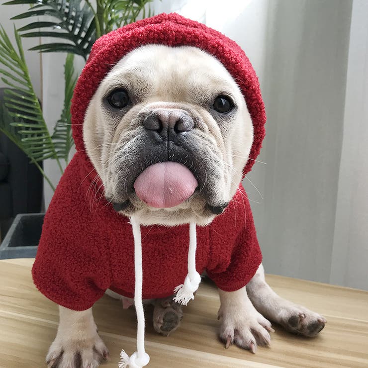 ドッグウェア パーカー 犬猫兼用 | PlusNao | 詳細画像4 