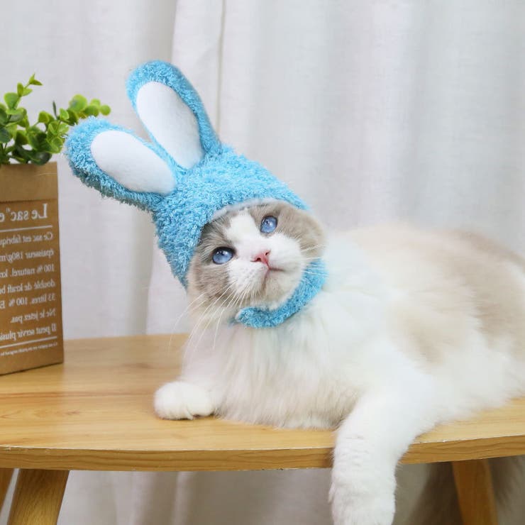 ペット用帽子 コスプレ 猫 | PlusNao | 詳細画像3 