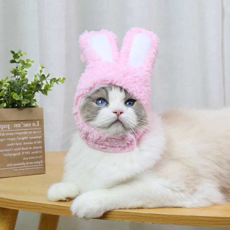 ペット用帽子 コスプレ 猫 | PlusNao | 詳細画像4 