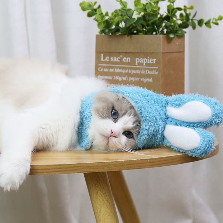 ペット用帽子 コスプレ 猫 | PlusNao | 詳細画像6 