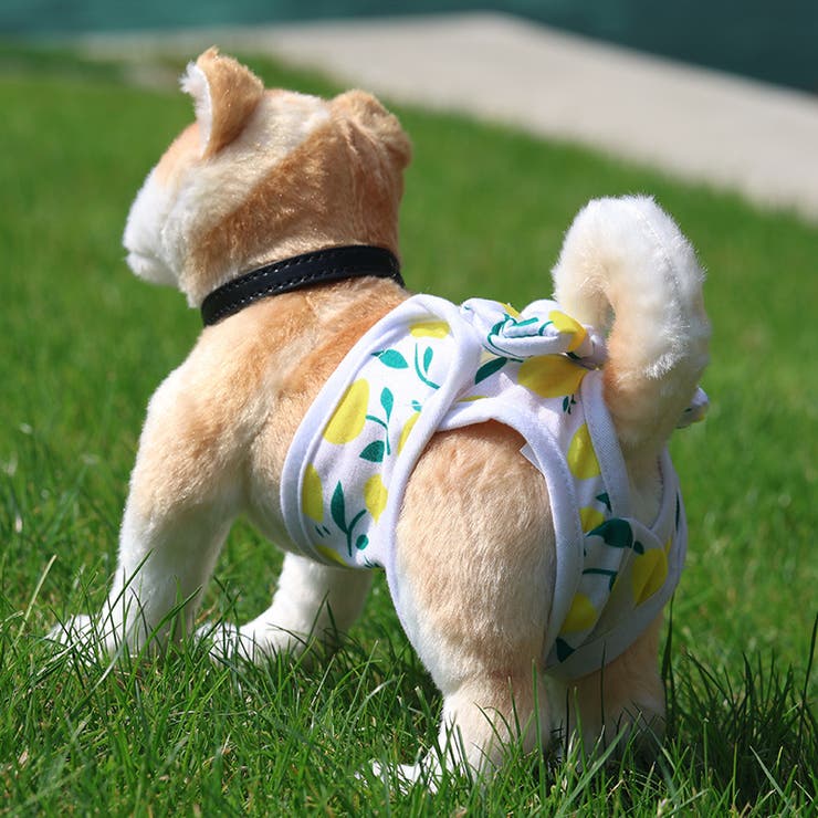 犬用サニタリーパンツ 生理パンツ オムツカバー | PlusNao | 詳細画像3 