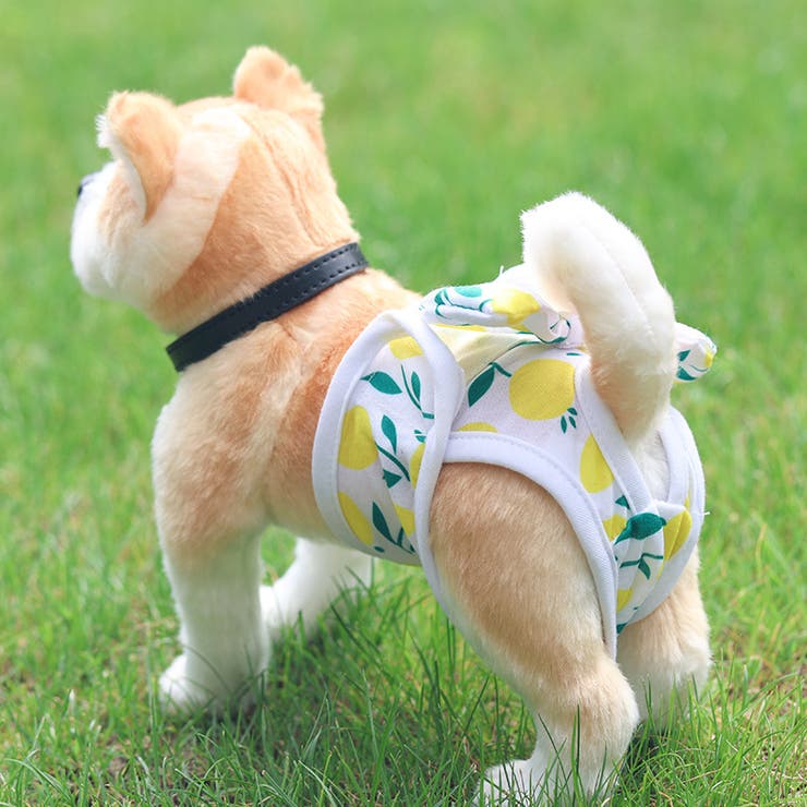 犬用サニタリーパンツ 生理パンツ オムツカバー | PlusNao | 詳細画像4 