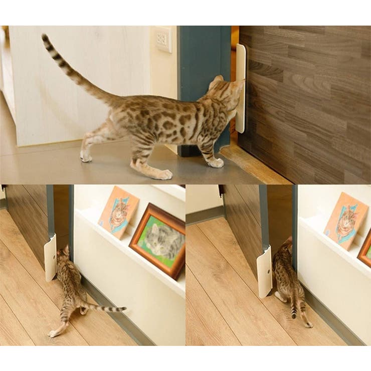 ペットドア 半自動 簡単設置 | PlusNao | 詳細画像4 