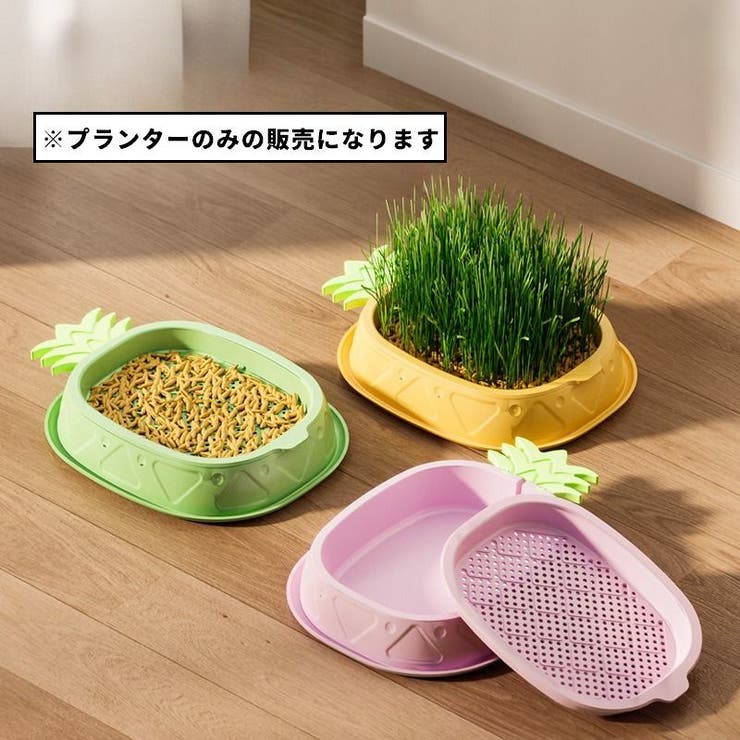 猫草プランター 猫草ポット 猫草ボックス | PlusNao | 詳細画像2 