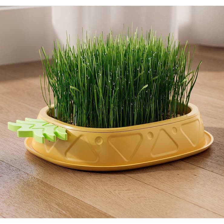 猫草プランター 猫草ポット 猫草ボックス | PlusNao | 詳細画像3 
