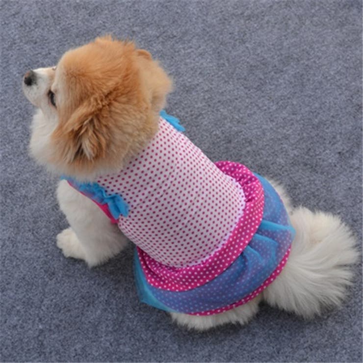 ドッグウェア 犬服 犬用ウェア | PlusNao | 詳細画像10 