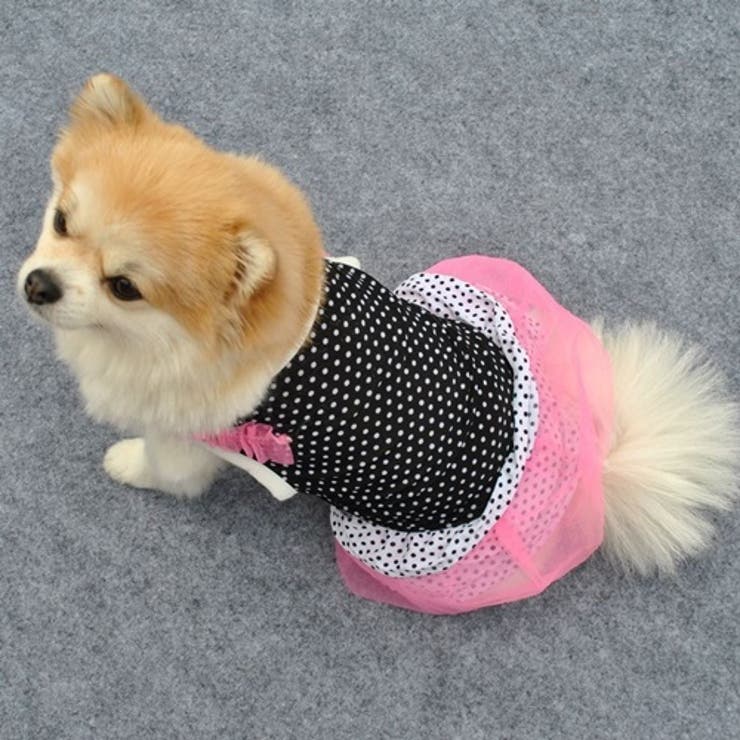 ドッグウェア 犬服 犬用ウェア | PlusNao | 詳細画像6 