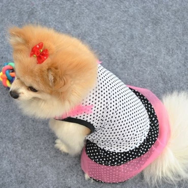 ドッグウェア 犬服 犬用ウェア | PlusNao | 詳細画像7 