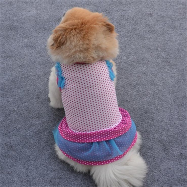 ドッグウェア 犬服 犬用ウェア | PlusNao | 詳細画像9 
