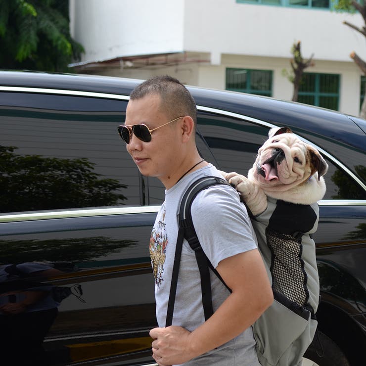 ペット用キャリーバッグ おんぶ紐 抱っこひも | PlusNao | 詳細画像10 