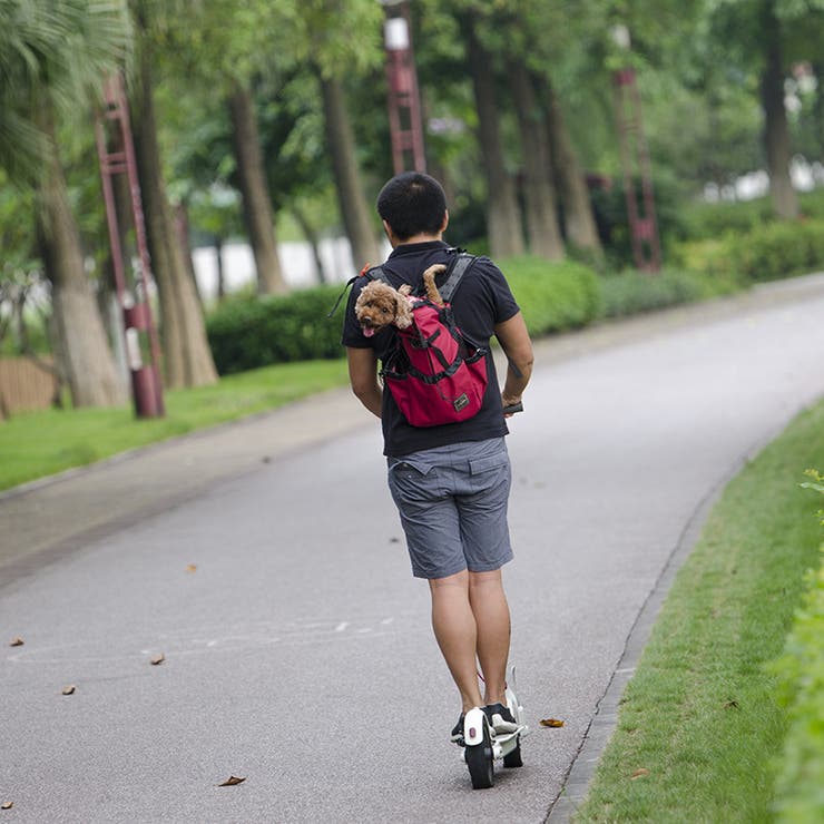 ペット用キャリーバッグ おんぶ紐 抱っこひも | PlusNao | 詳細画像6 