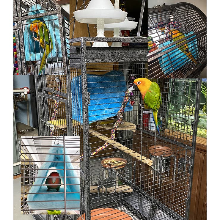 バードテント Sサイズ 鳥用[品番：FQ000197916]｜PlusNao