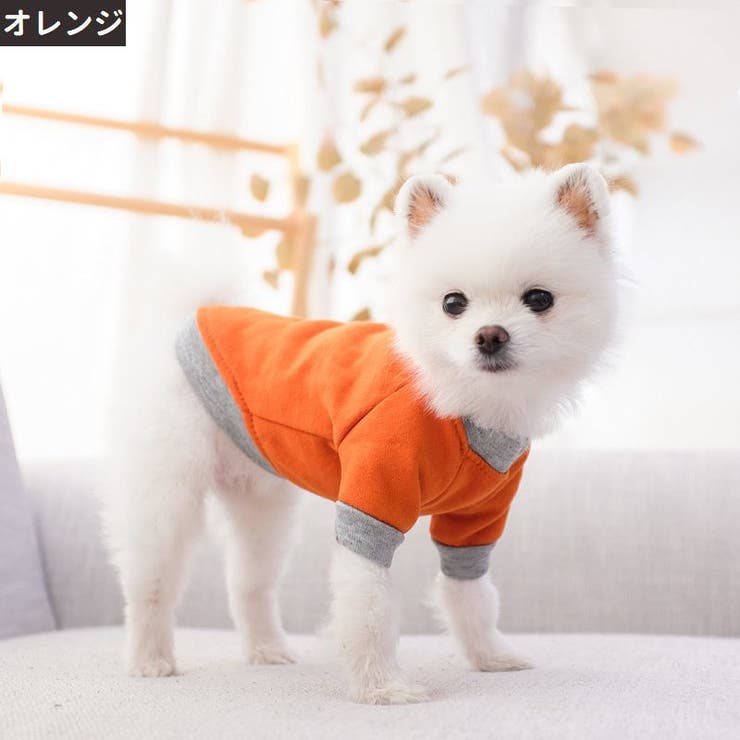 ペットウェア ドッグウェア キャットウェア | PlusNao | 詳細画像10 