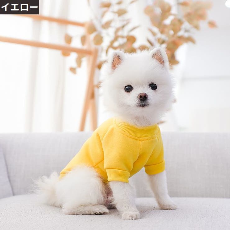 ペットウェア ドッグウェア キャットウェア | PlusNao | 詳細画像12 