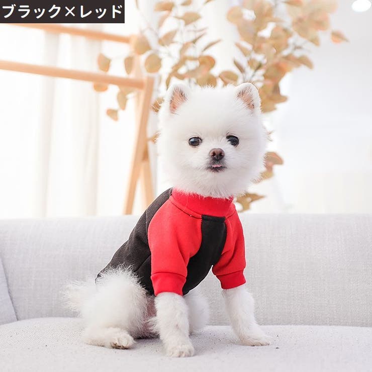 ペットウェア ドッグウェア キャットウェア | PlusNao | 詳細画像2 